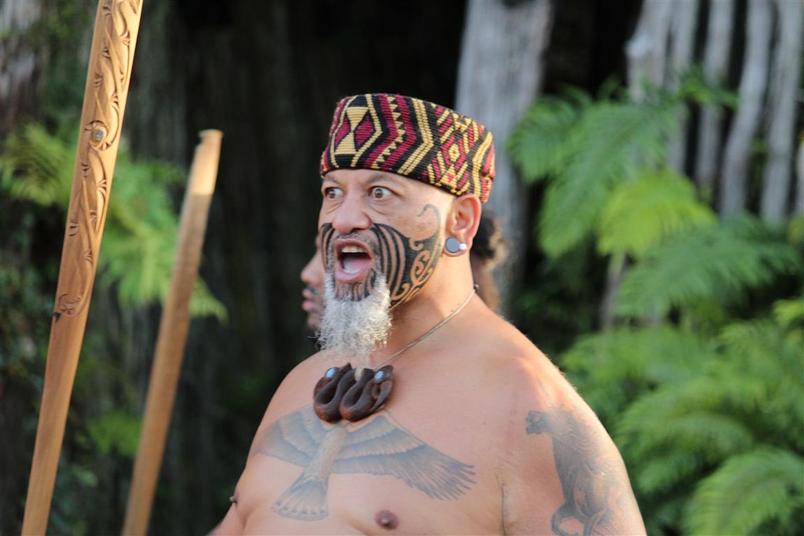 Maori elder