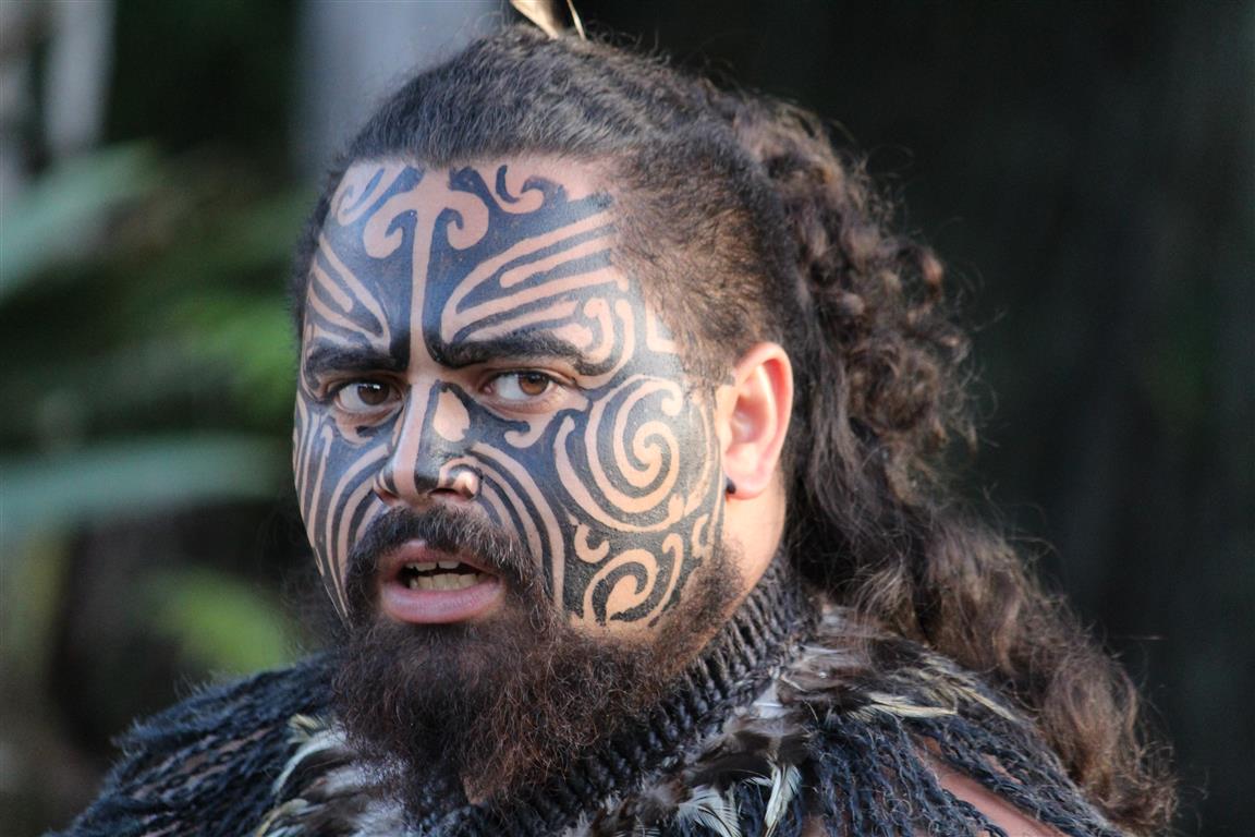 Maori Chief