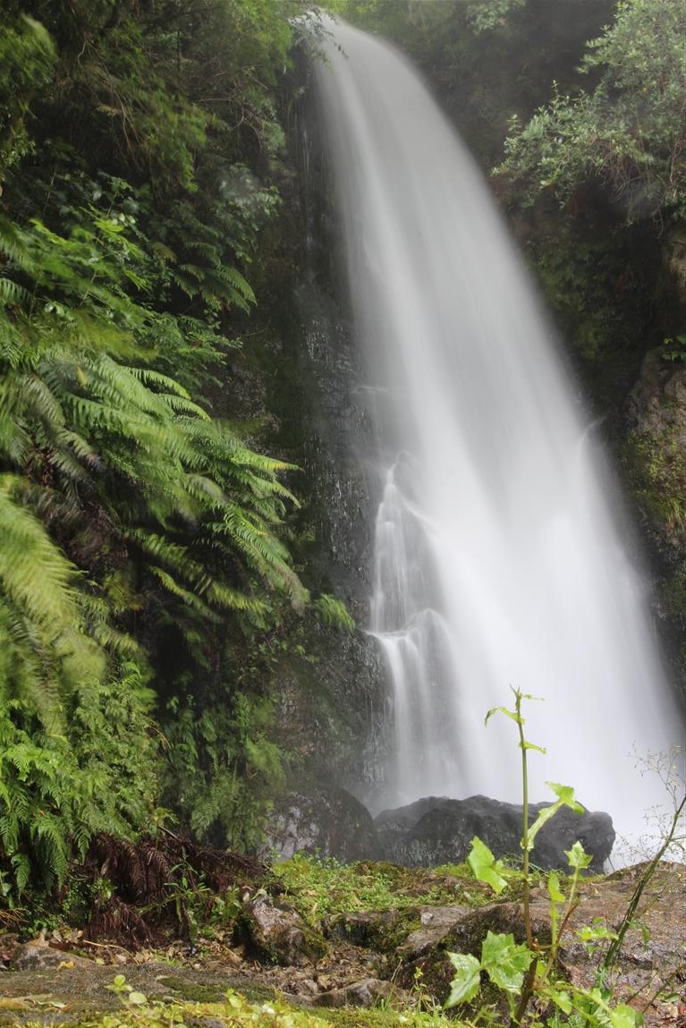 Waterfall, Te Wairoa Rotorua