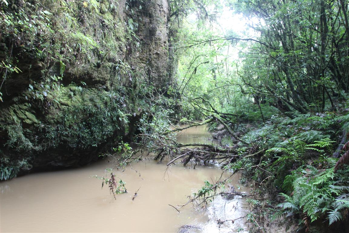 The river leading into the cave