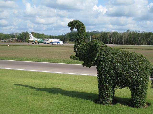 They use grass elephants to wash the planes at Trat airport...