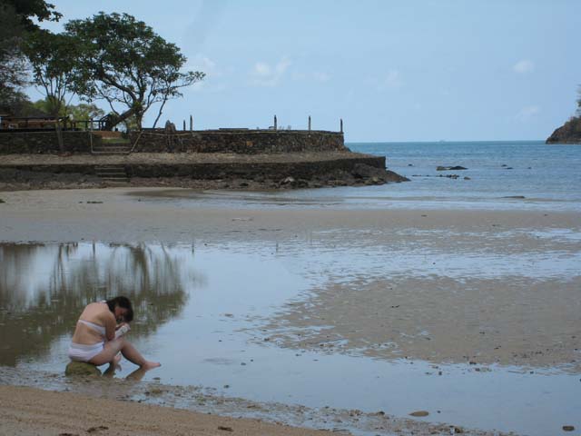 Tracy, suddenly 6 years old again, finds some crabs and ickle fishes...