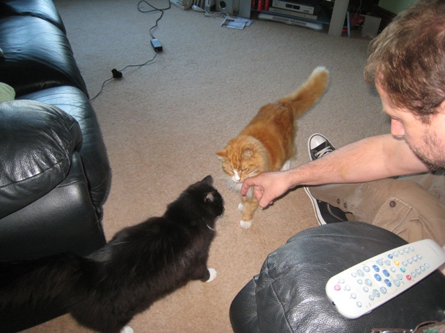 Spunky and Heffy consider whether Paul's finger is edible...