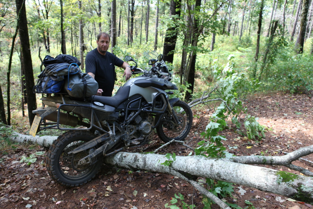 My bike halfway over the fallen tree