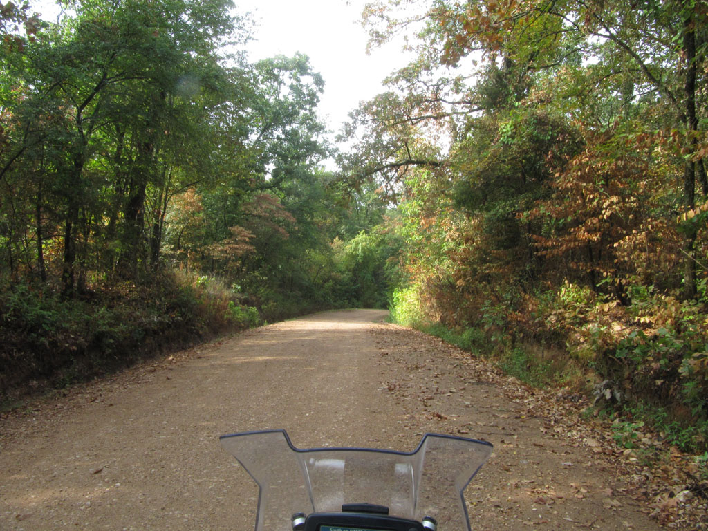 Riding through the forest