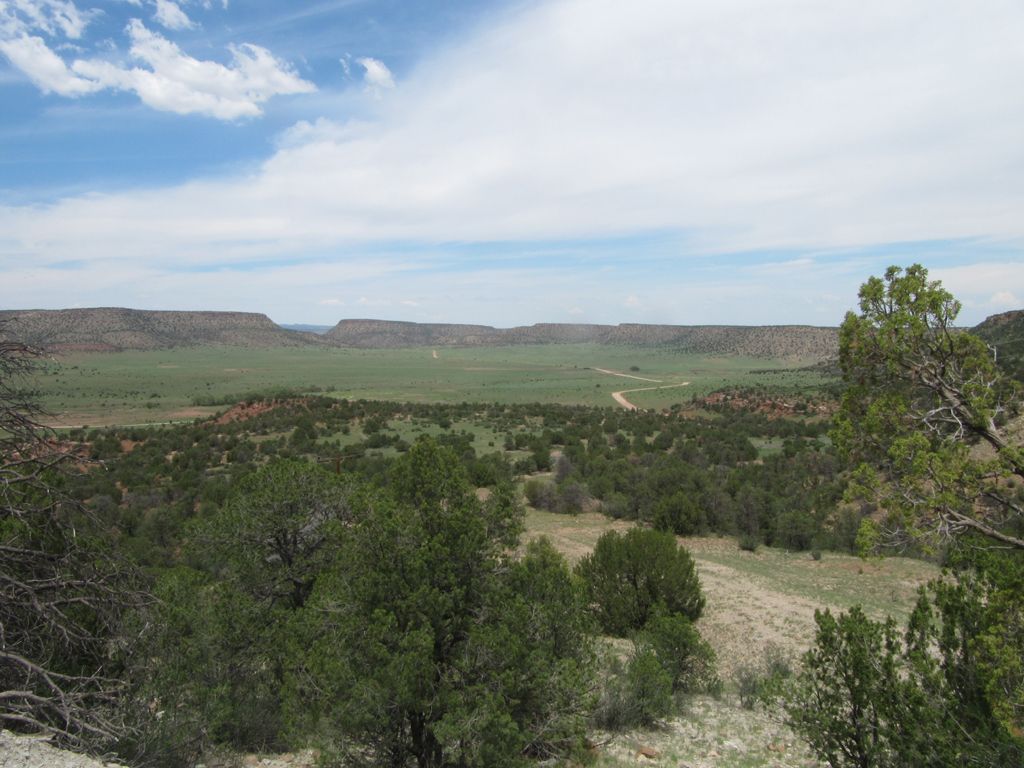 New Mexico landscape