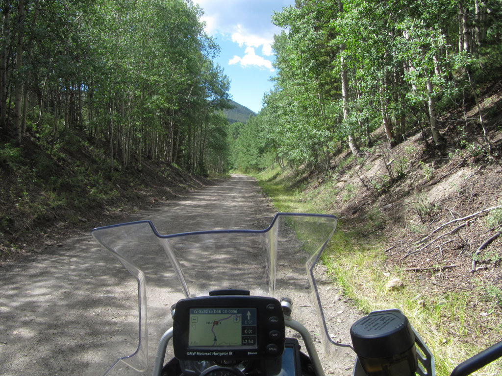 Riding through the forest, Colorado