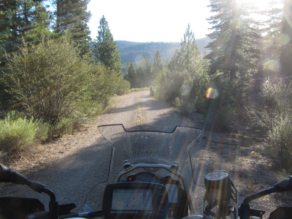 Getting away from it all in the forests of Oregon