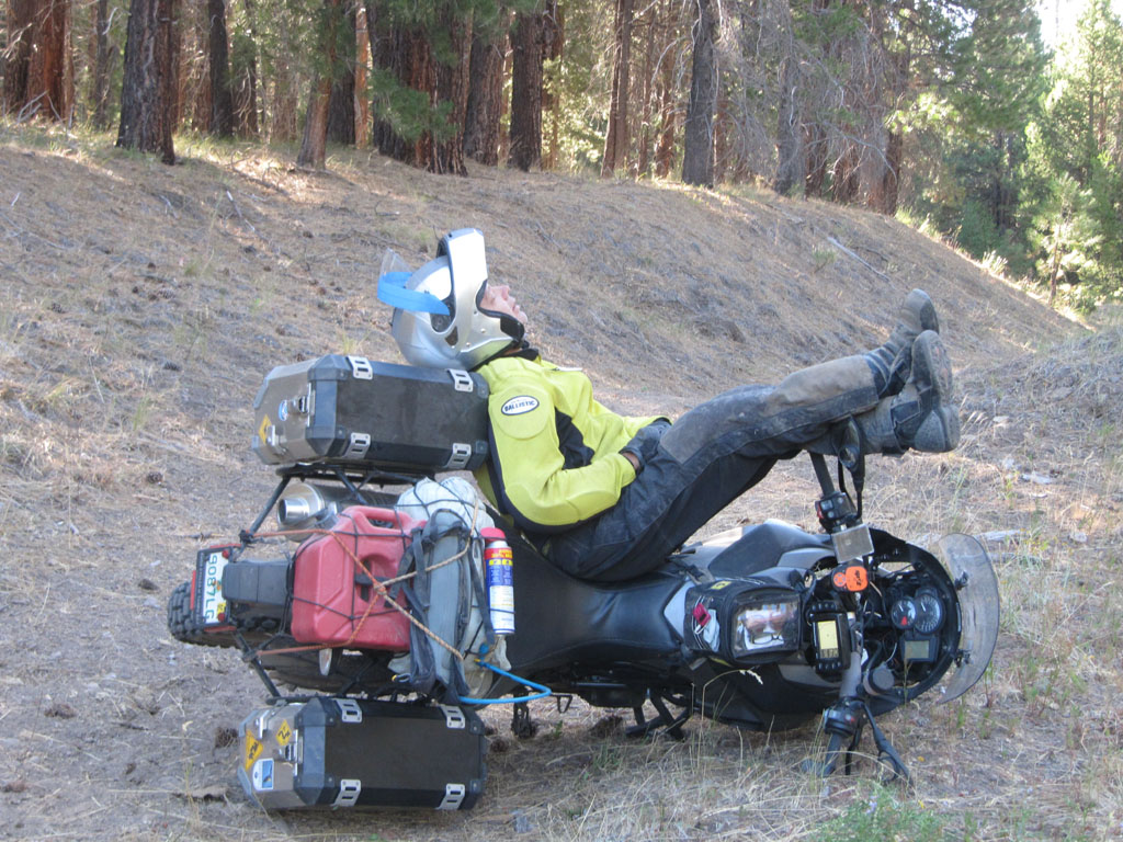 Exhausted after the forest ride, Harold decides to take a nap