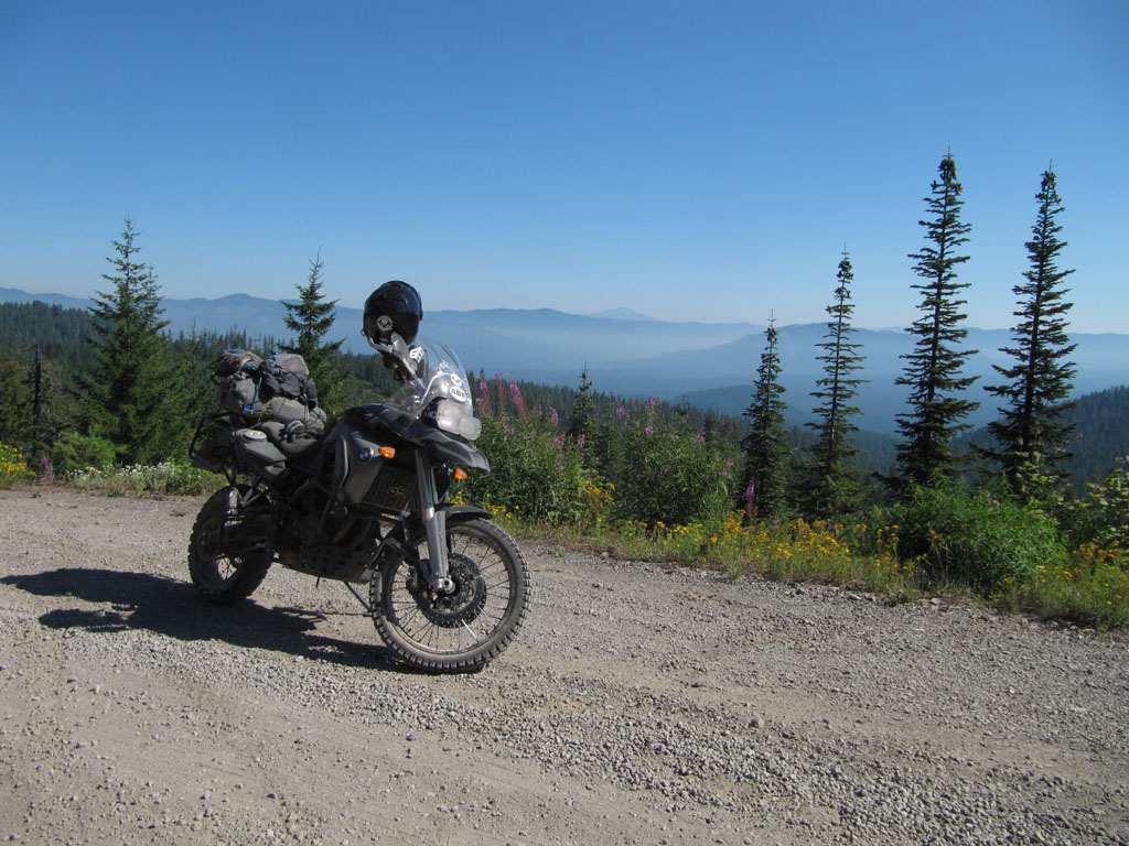 Beautiful Oregon forest