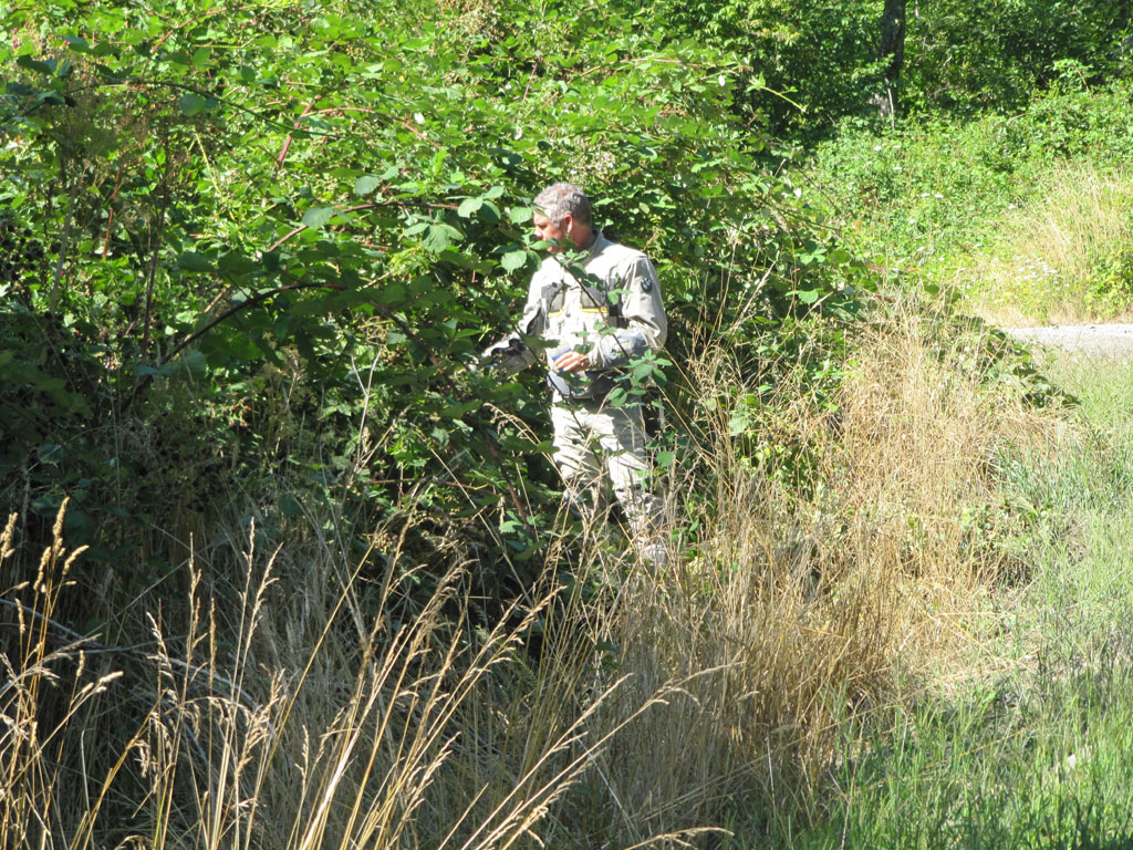 Aaron reveals a fondness for wild berries