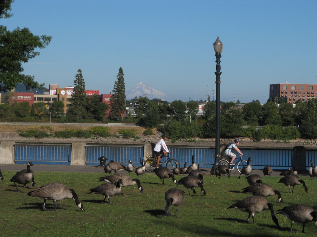 Portland riverside and Mt Hood