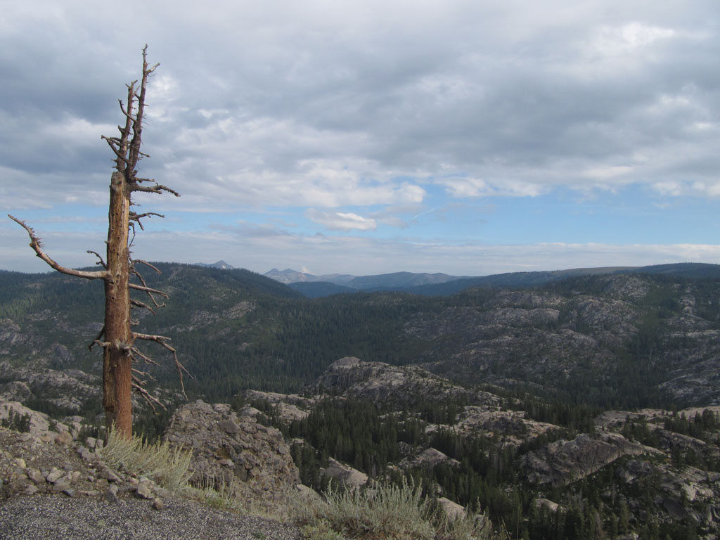 View from Carson Pass