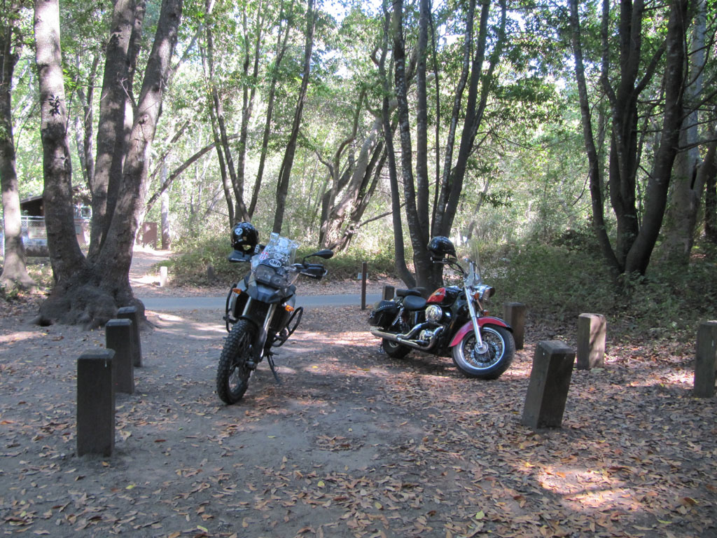 The odd couple, our bikes relax under the trees