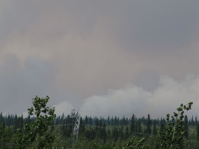 The forest fire blackens the horizon