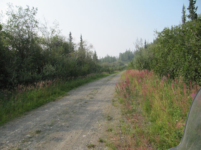 The trail to Snag Creek...