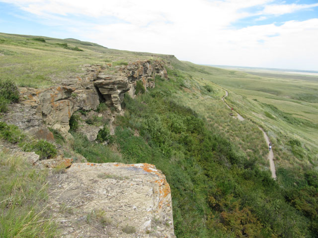 The cliff edge, killing ground for lots of Buffalo