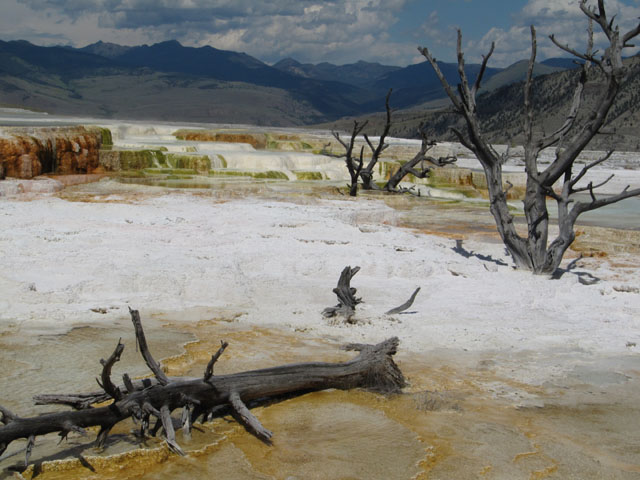 Mammoth Hot Springs, Yellowstone