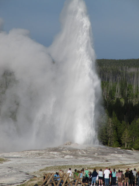 Old Faithful erupts...