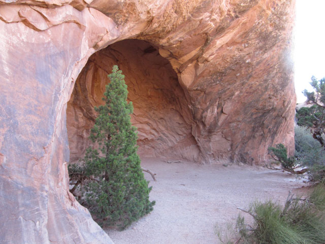 Christmas at Navajo Arch?