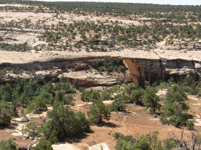 Owachomo bridge, Natural Bridges National Monument