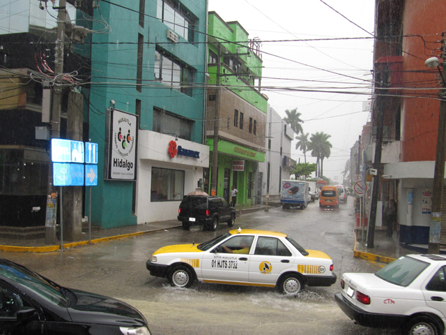 A tropical rainstorm to start the day...