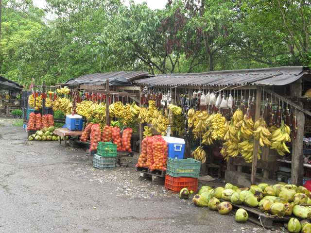 Roadside fruit stall, rural Mexico... Roadside fruit stall, rural Mexico...