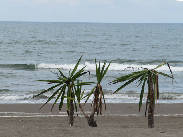 The Caribbean sea...