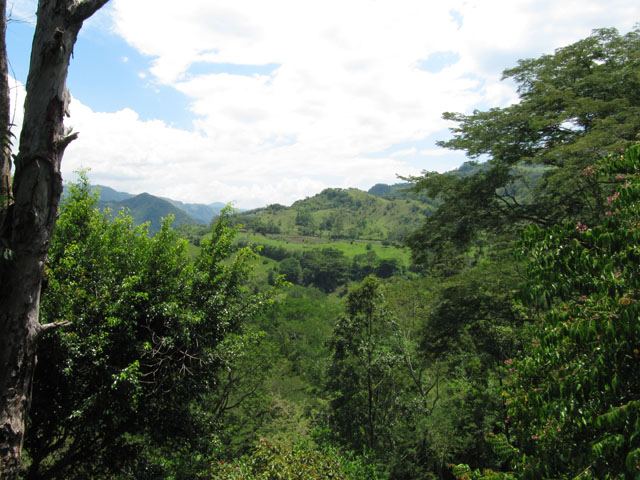 How green is your valley? Rural Columbia...