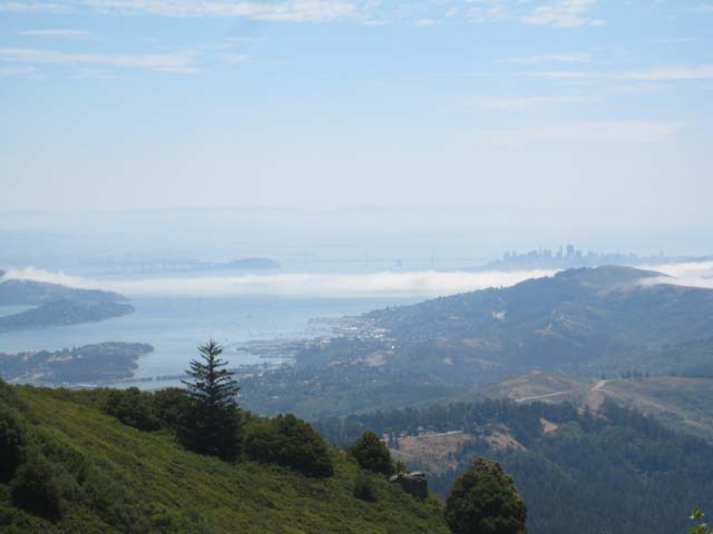 Looking out towards San Francisco from the east summit of Mt Tamilpais