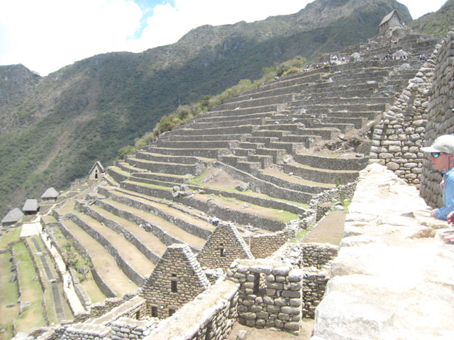 The terraces for growing crops, Machu Picchu, Peru...