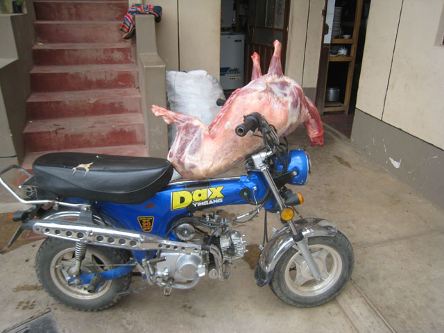 This little piggy went by bike...