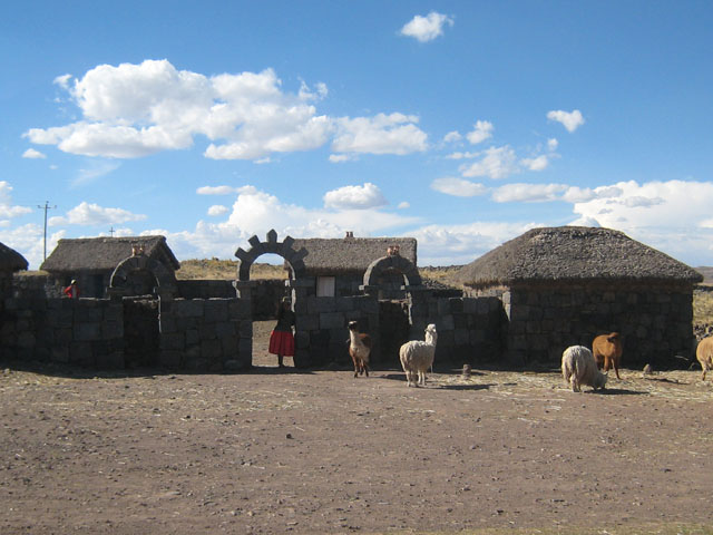 Llama farmer, Peru...