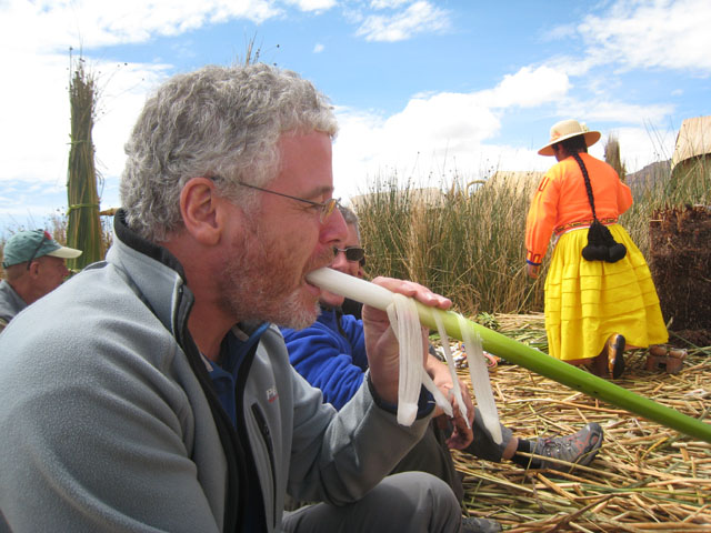 Simon braves eating reeds...