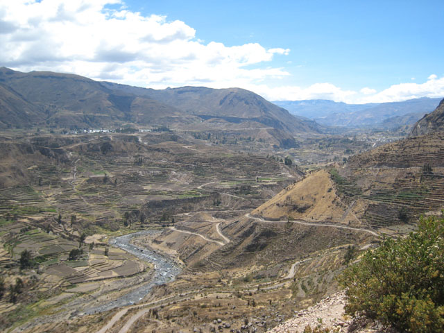 Colca Canyon, Peru...
