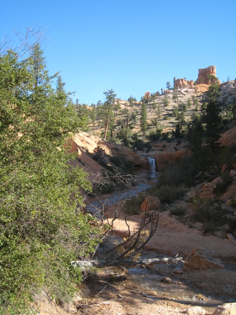 At the start of the Moss Cave trail, Bryce Canyon