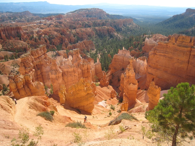 The start of the Navajo Loop trail, zig-zagging into the canyon