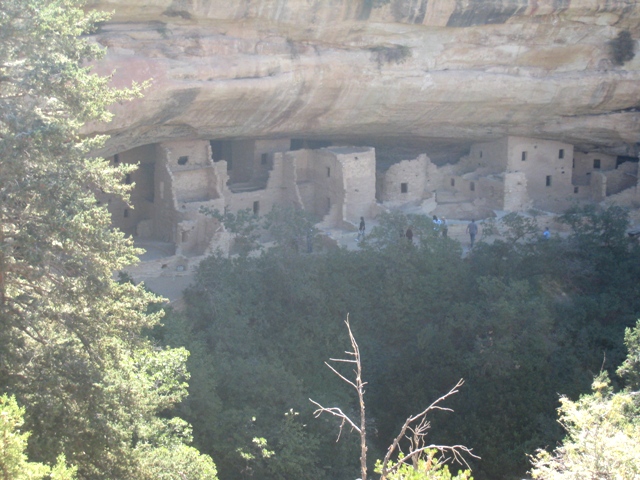 Spruce Tree House from the wooded trail