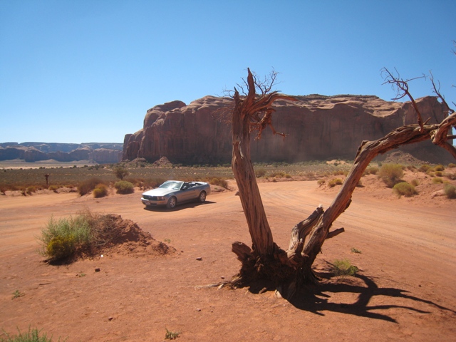 A different kind of Mustang appears in this Western…