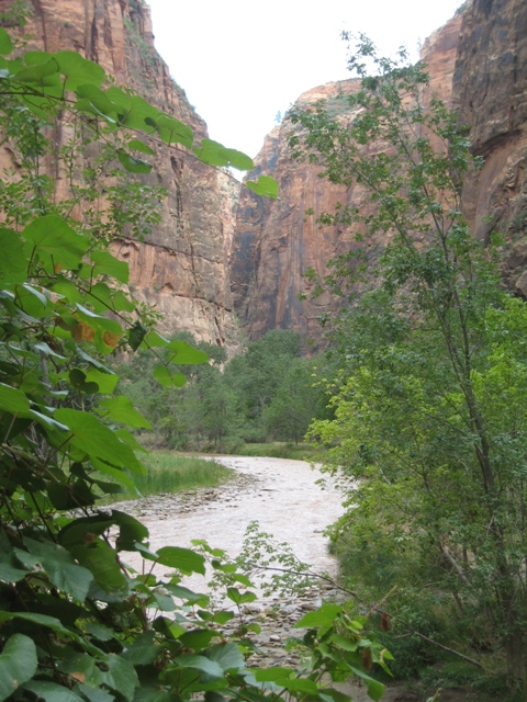 Zion National Park